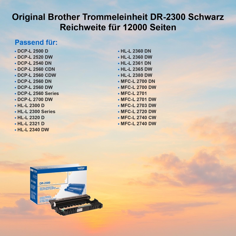 Original Brother Trommeleinheit DR-2300 Schwarz Reichweite für 12000 Seiten